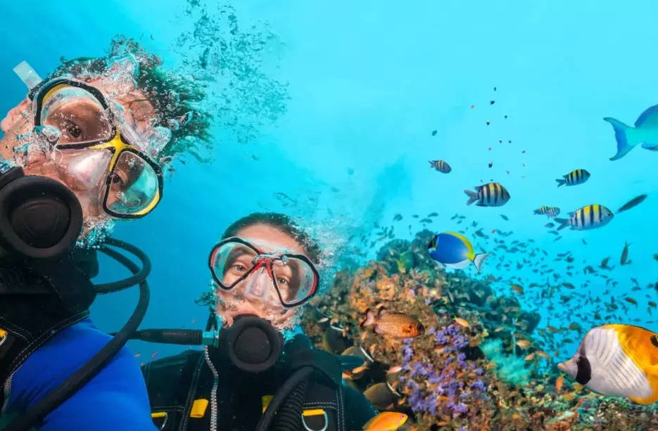 scuba diving vacations scuba diving vacations