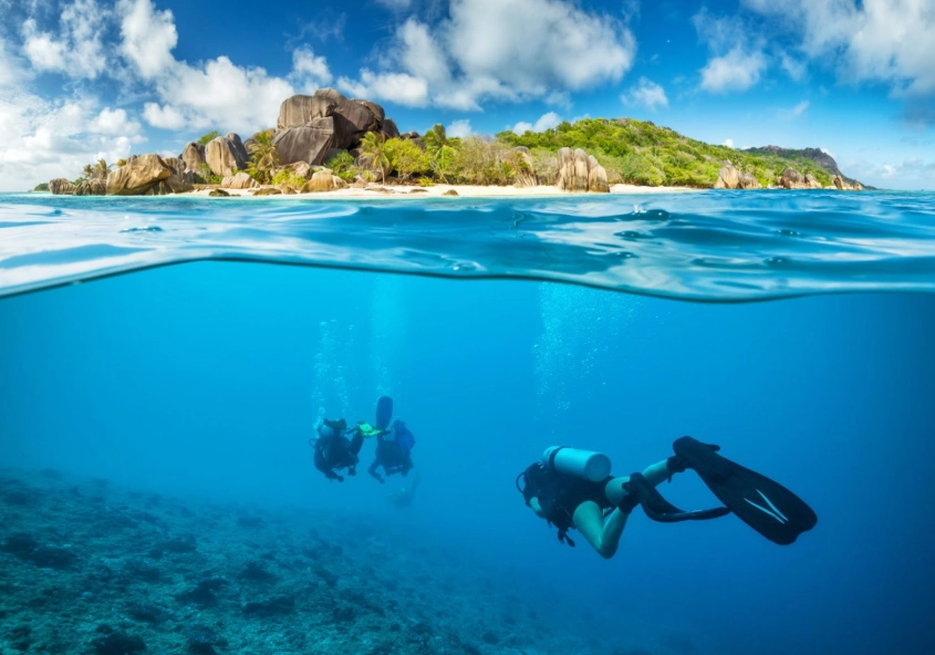 top scuba diving spots