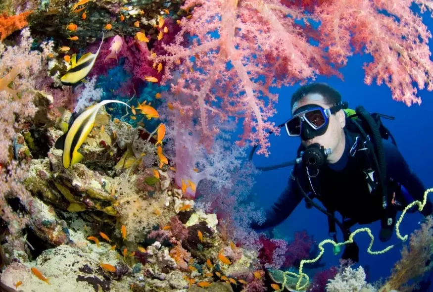 best scuba diving destinations