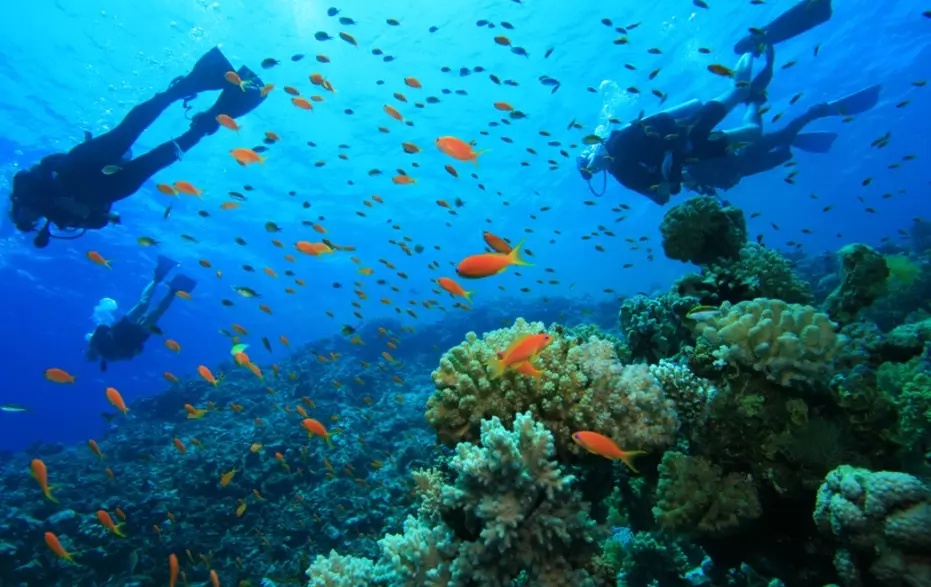 best scuba diving destinations