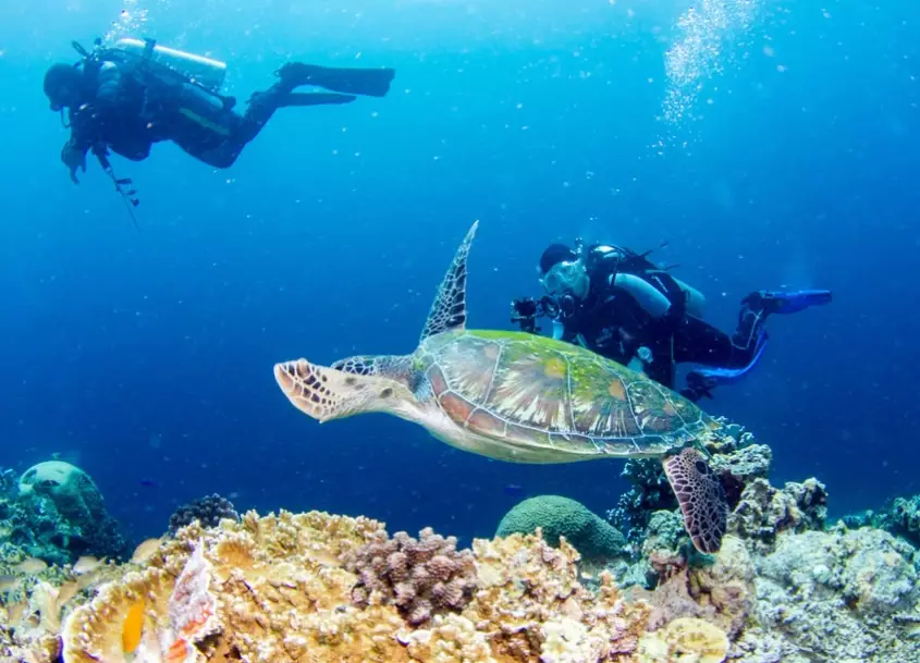best dive sites Philippines