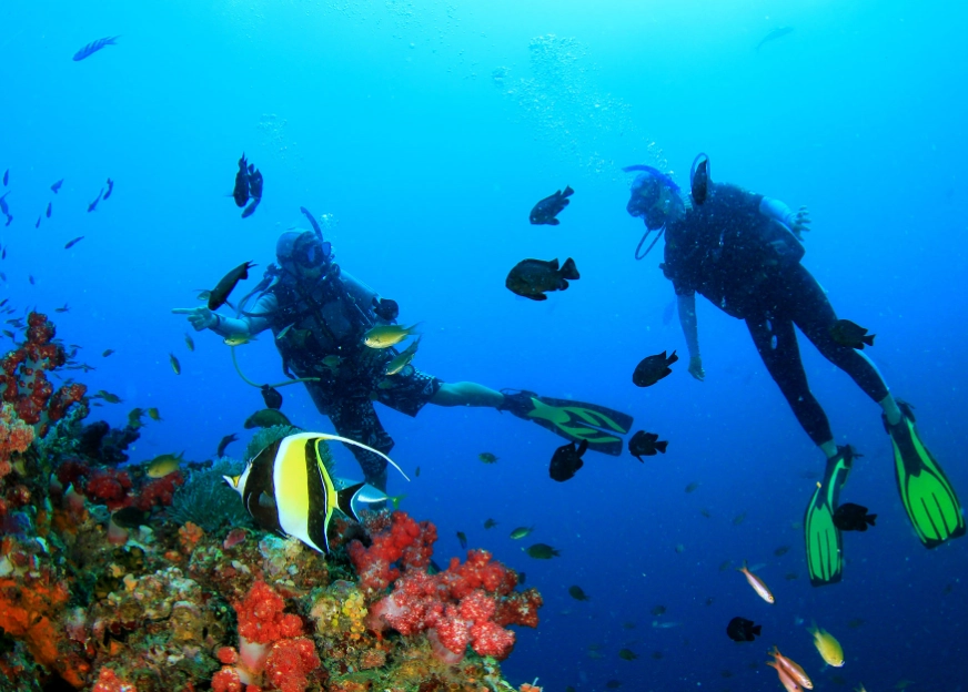 Philippines diving spots