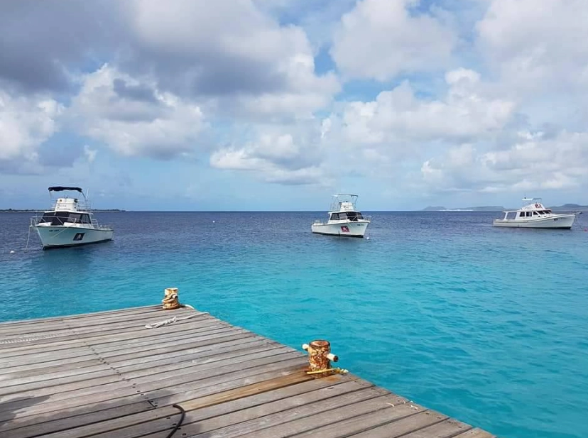Bonaire diving capital Caribbean