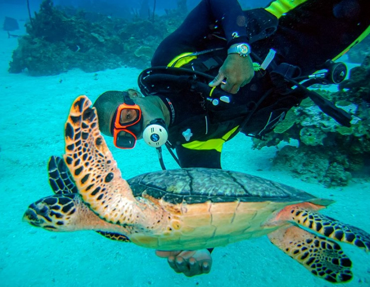 best diving in Caribbean