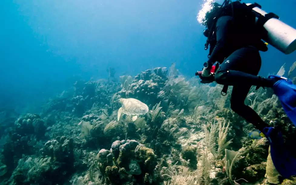 best time to dive in Mexico