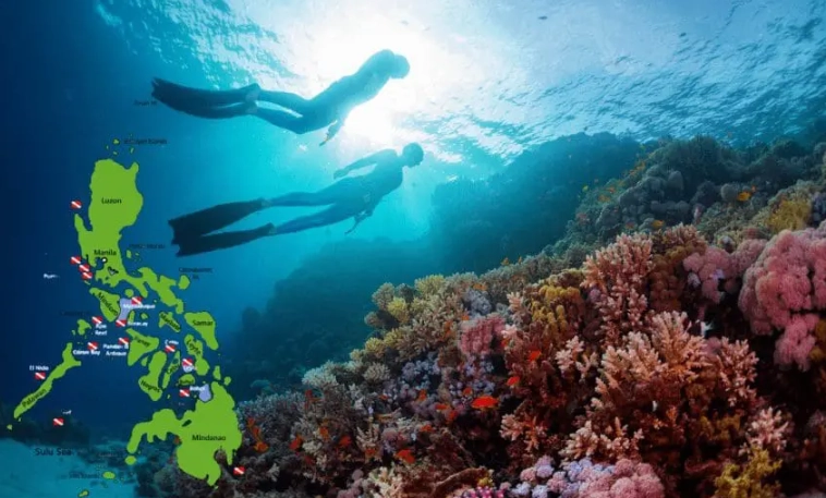 Philippines diving places