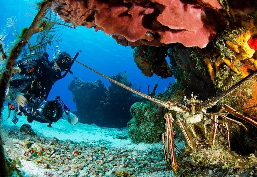 Mexico scuba diving seasons