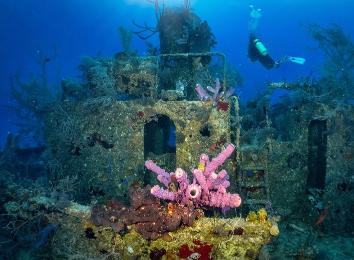 Caribbean scuba diving