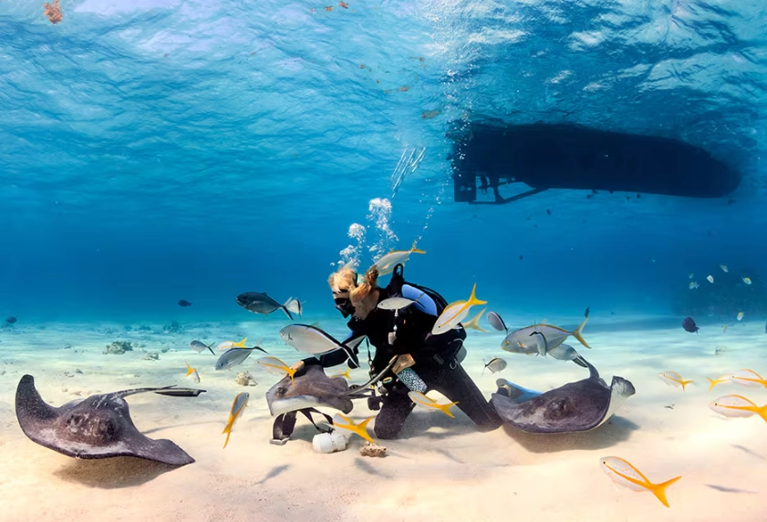 diving holiday planning