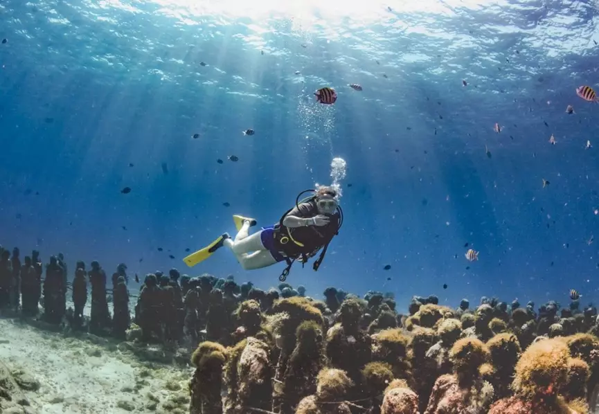 best time to dive in Mexico