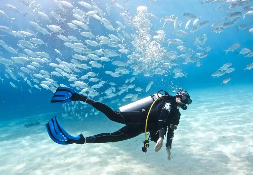 scuba diving travel guide