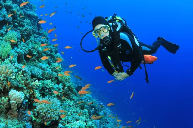best diving in Caribbean