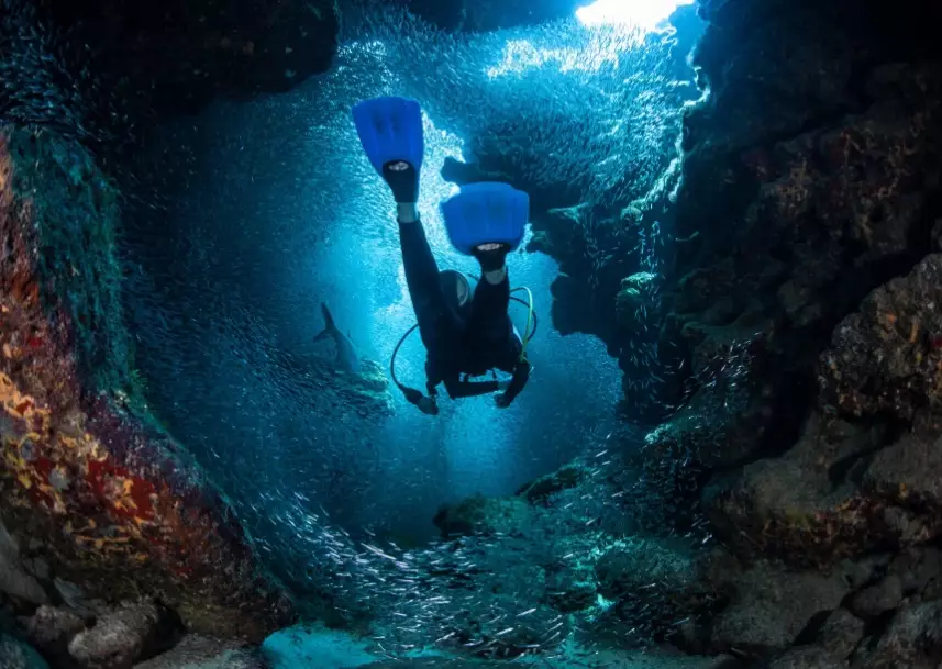 Best diving Caribbean