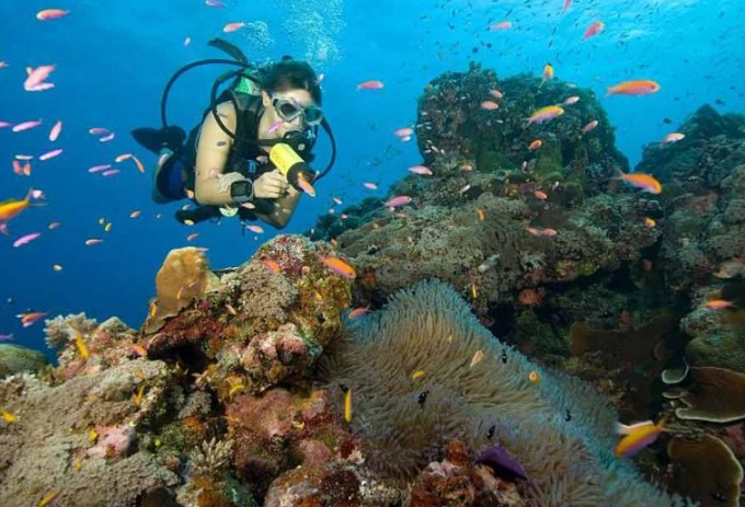 diving holiday planning