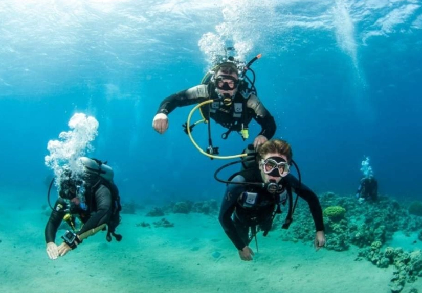 best diving Philippines beginner