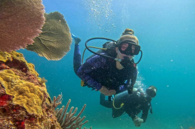 best time to dive in Mexico