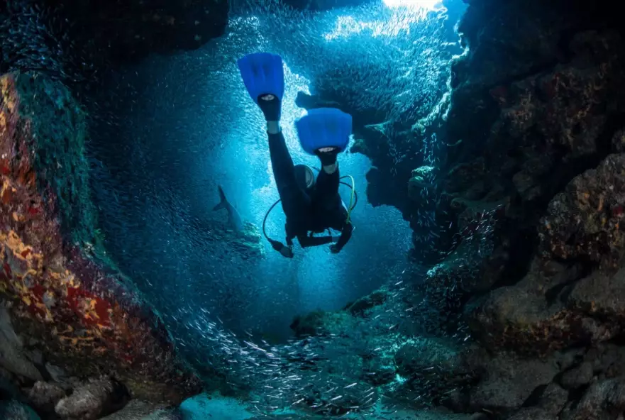 best diving in Caribbean