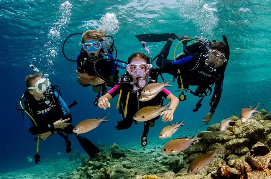 best diving travel tips