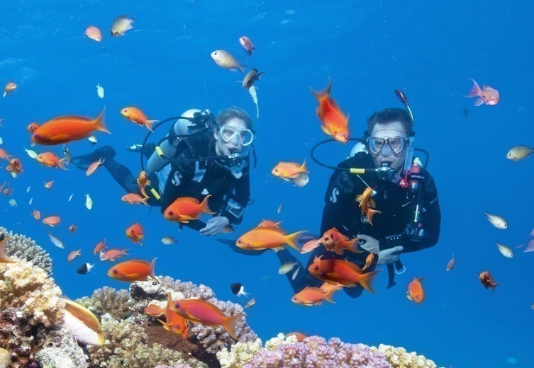 best dive site Philippines