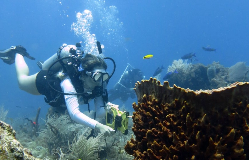 scuba diving safety rules