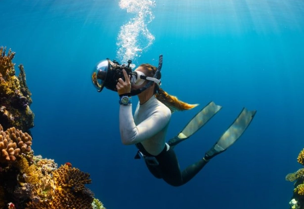 golden rule of diving