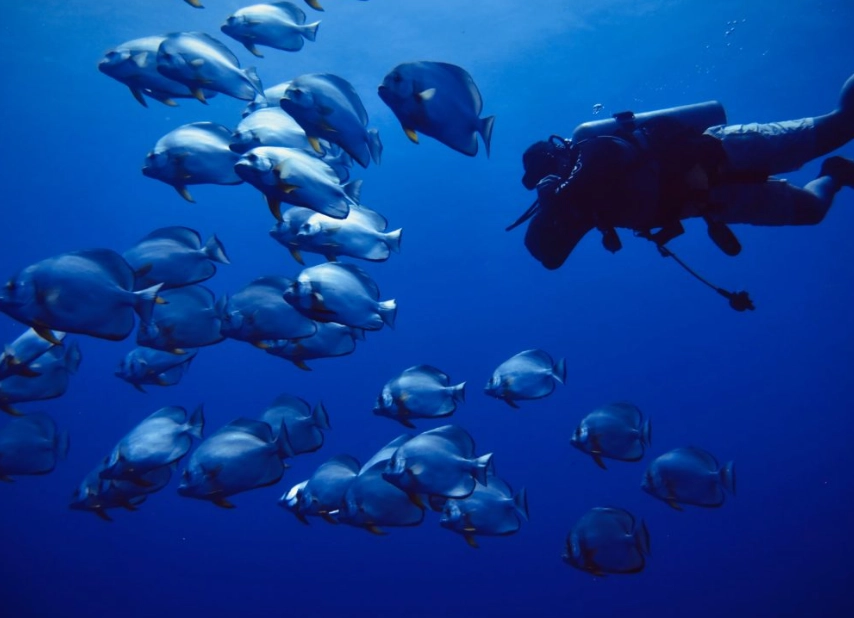 scuba diving and flying regulations