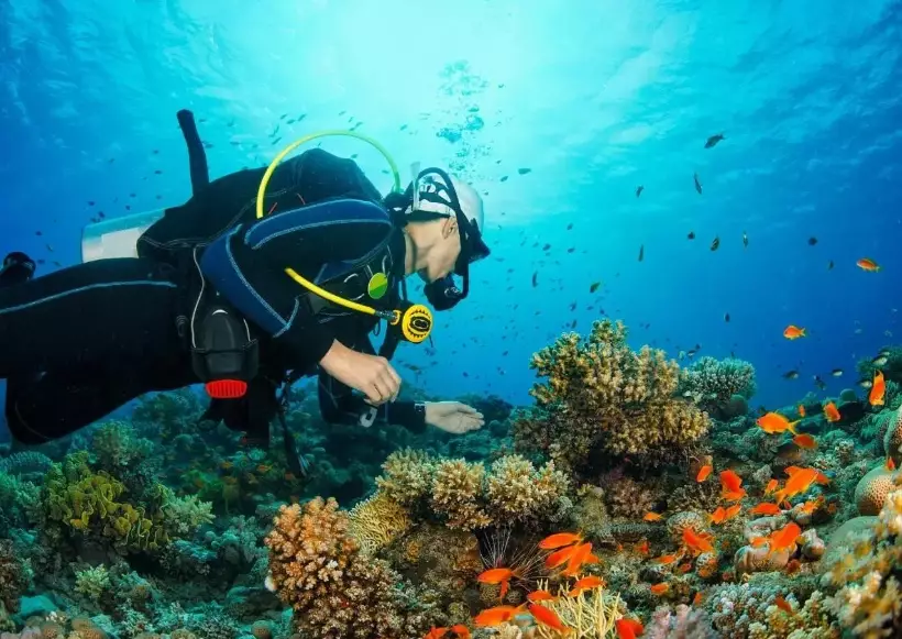 Philippines diving weather
