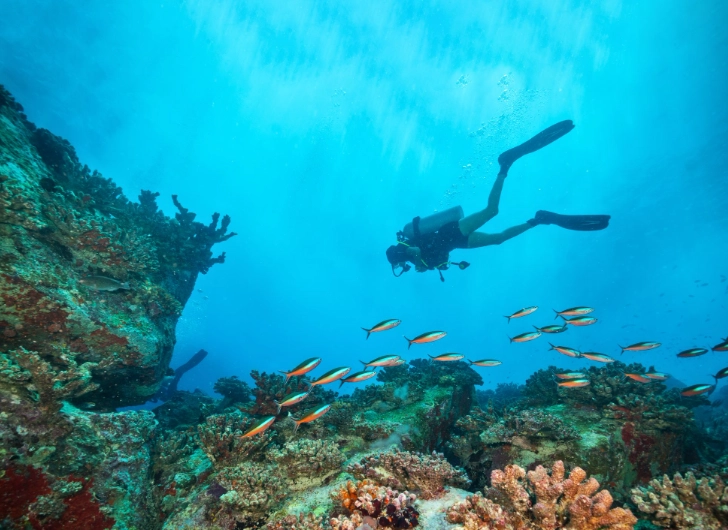 top dive sites Caribbean