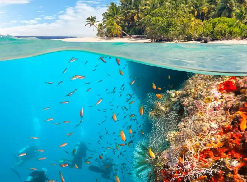 Caribbean scuba diving destinations