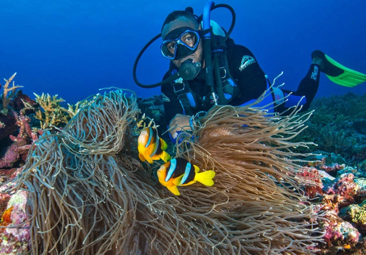best Caribbean diving islands
