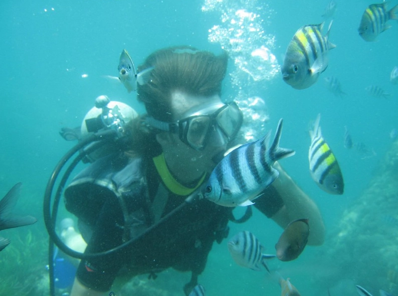 prevent diving accidents