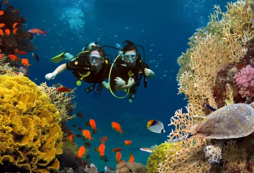 best Caribbean diving islands