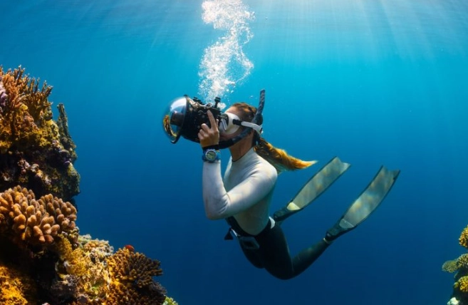 golden rule of diving