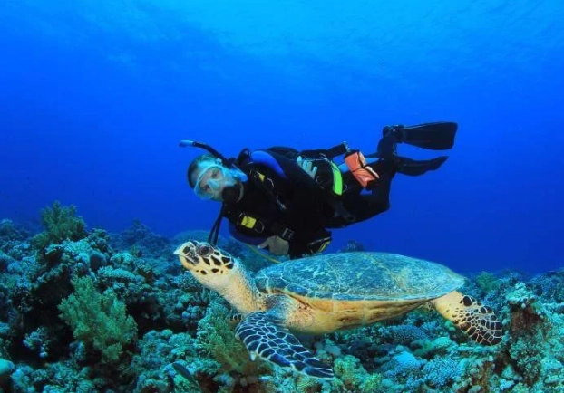 best dive sites Mexico
