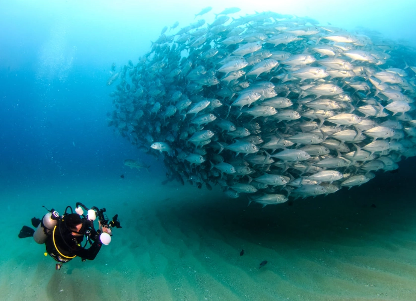 best diving in Mexico