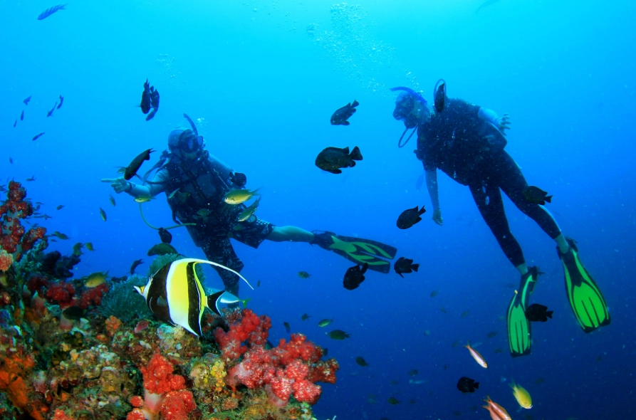 dry season diving Philippines
