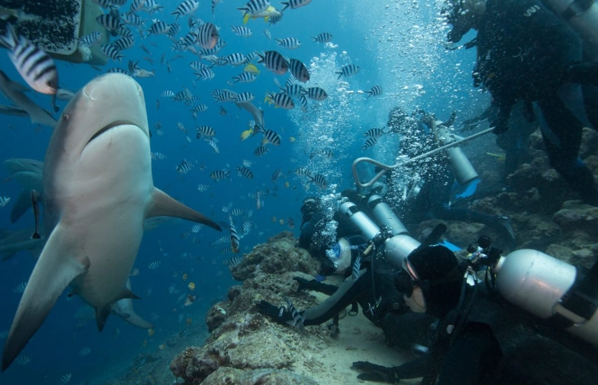 scuba diving safety rules