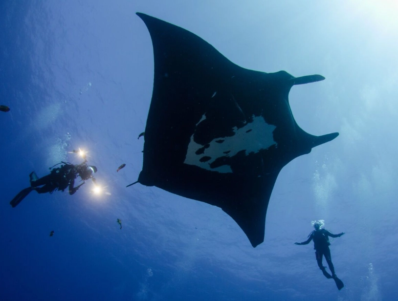 Mexico diving spots