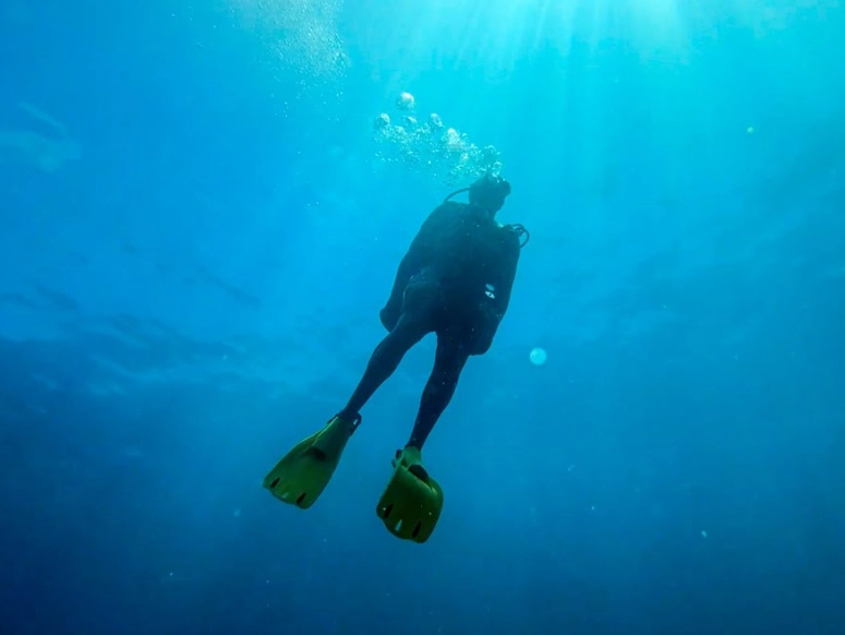 best diving in Mexico