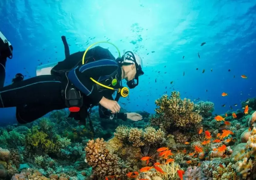 dry season diving Philippines