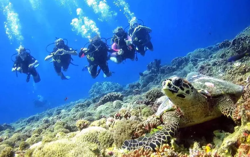 Thailand scuba diving