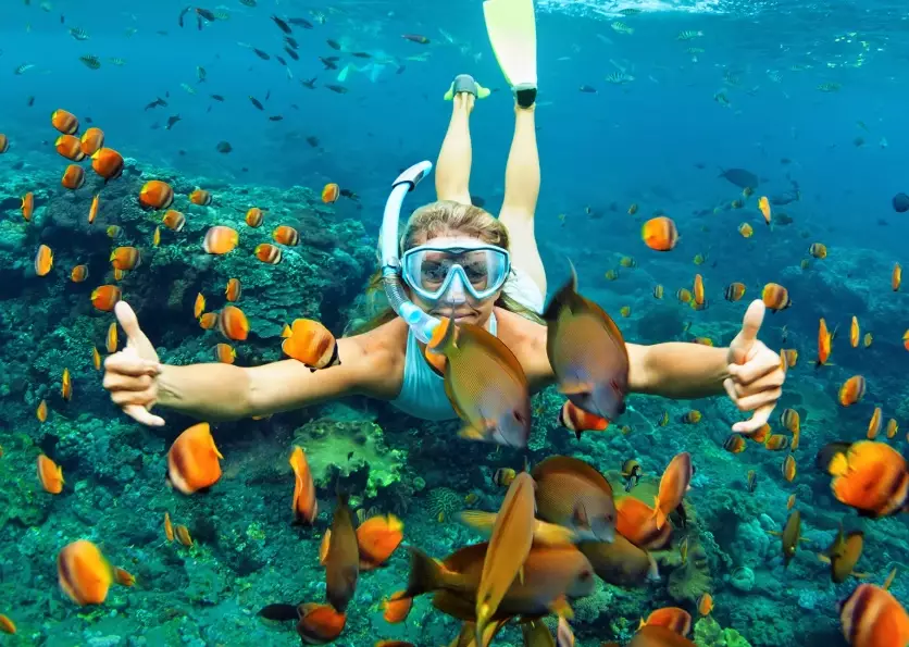 Thailand diving season