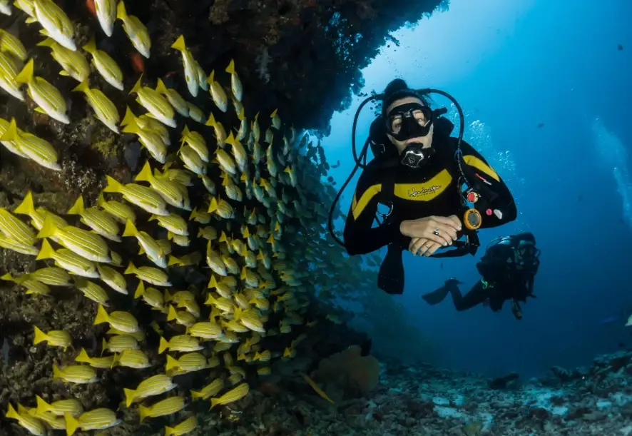 scuba diving Thailand