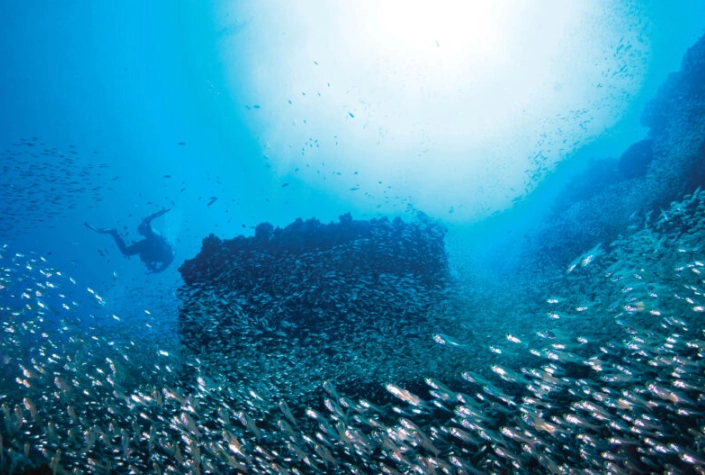 Thailand dive conditions