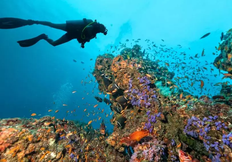 Thailand diving season