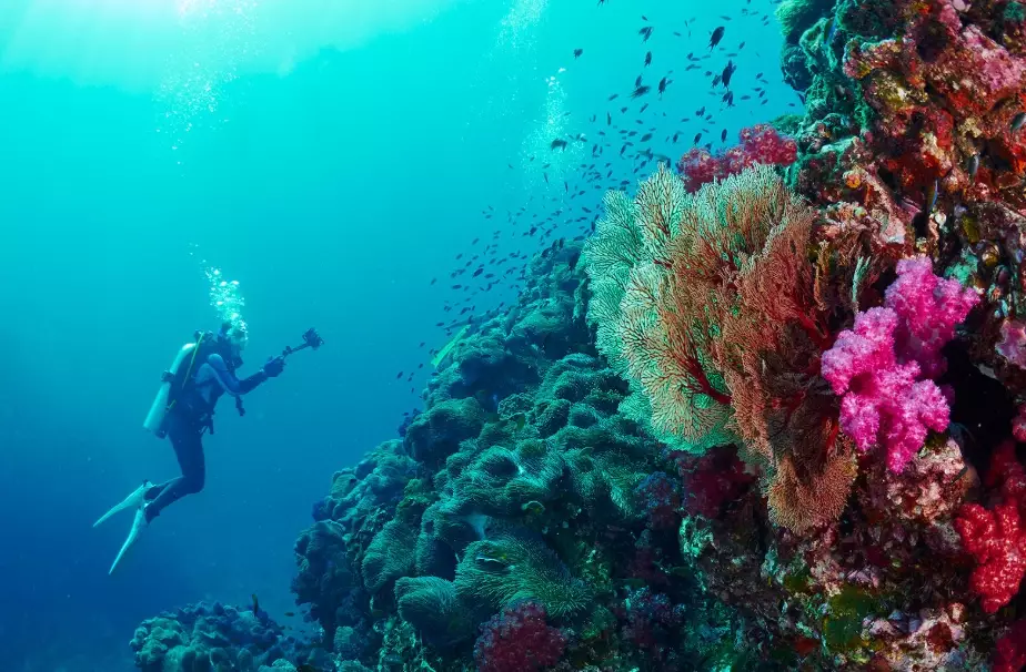 best time to dive in Thailand