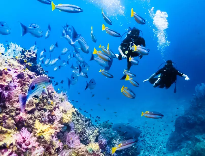 scuba diving Thailand