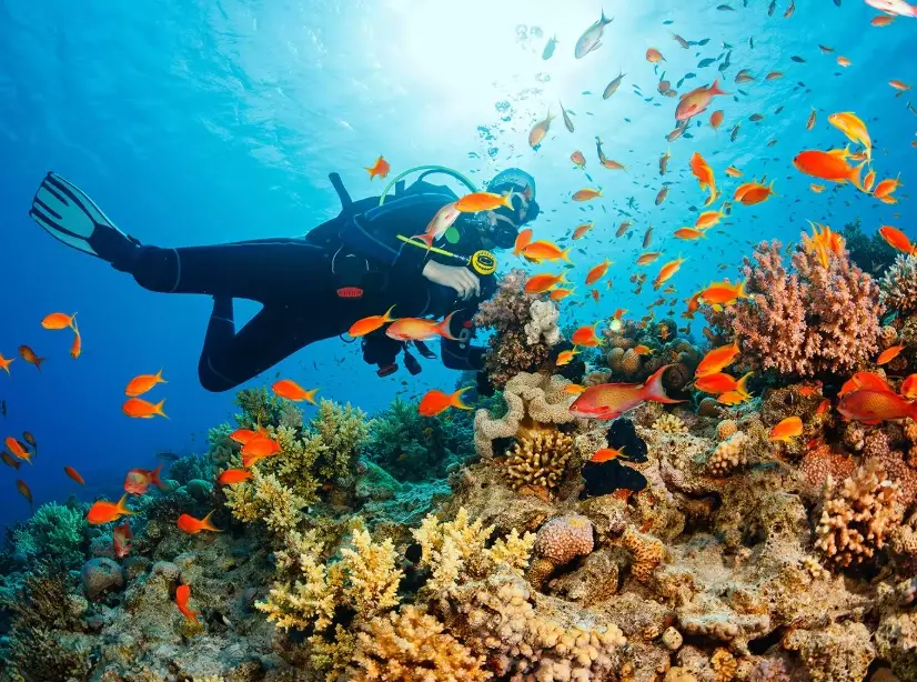 Thailand dive conditions