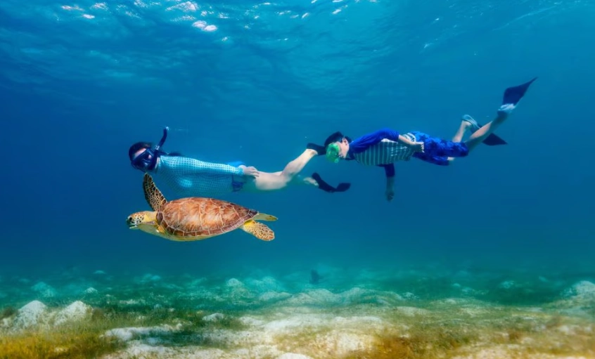 best places to swim with sea turtles