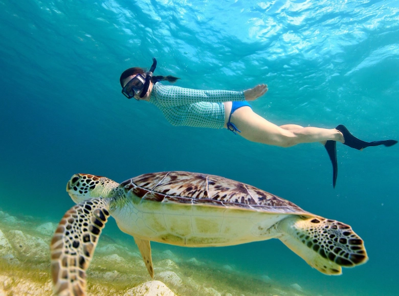 swim with turtles Europe
